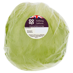food title