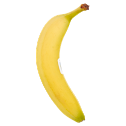 food title