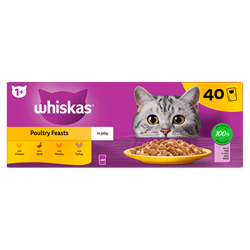 food title