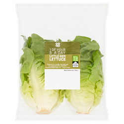 food title