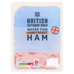 food title