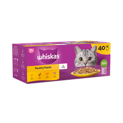 food title