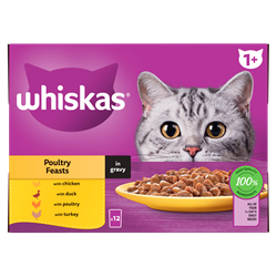 food title