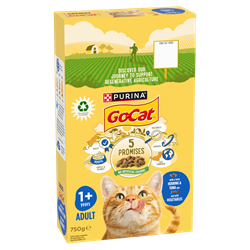 food title