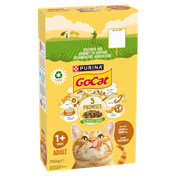 food title